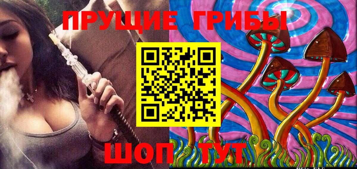 Псилоцибиновые грибы MAGIC MUSHROOMS  Вход с VPN  Семёнов 